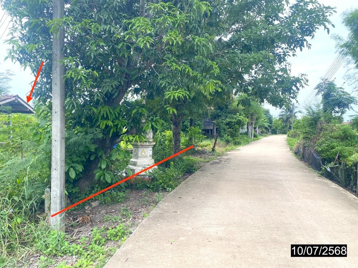 ที่ดินเปล่าทำเลศักยภาพ คุยม่วง บางระกำ พิษณุโลก เหมาะสำหรับการลงทุน