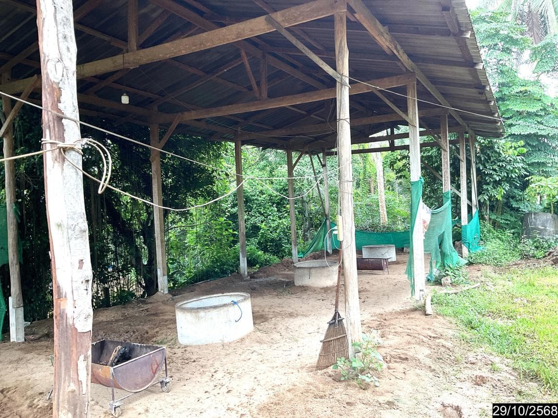 ขายเพิงอเนกประสงค์ เขาขาว ทุ่งสง นครศรีธรรมราช พื้นที่ใช้สอย 56 ตร.ม.