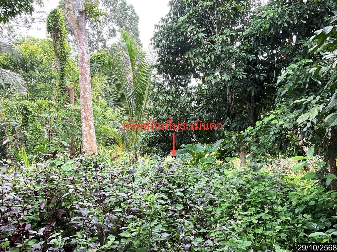 ขายเพิงอเนกประสงค์ เขาขาว ทุ่งสง นครศรีธรรมราช พื้นที่ใช้สอย 56 ตร.ม.