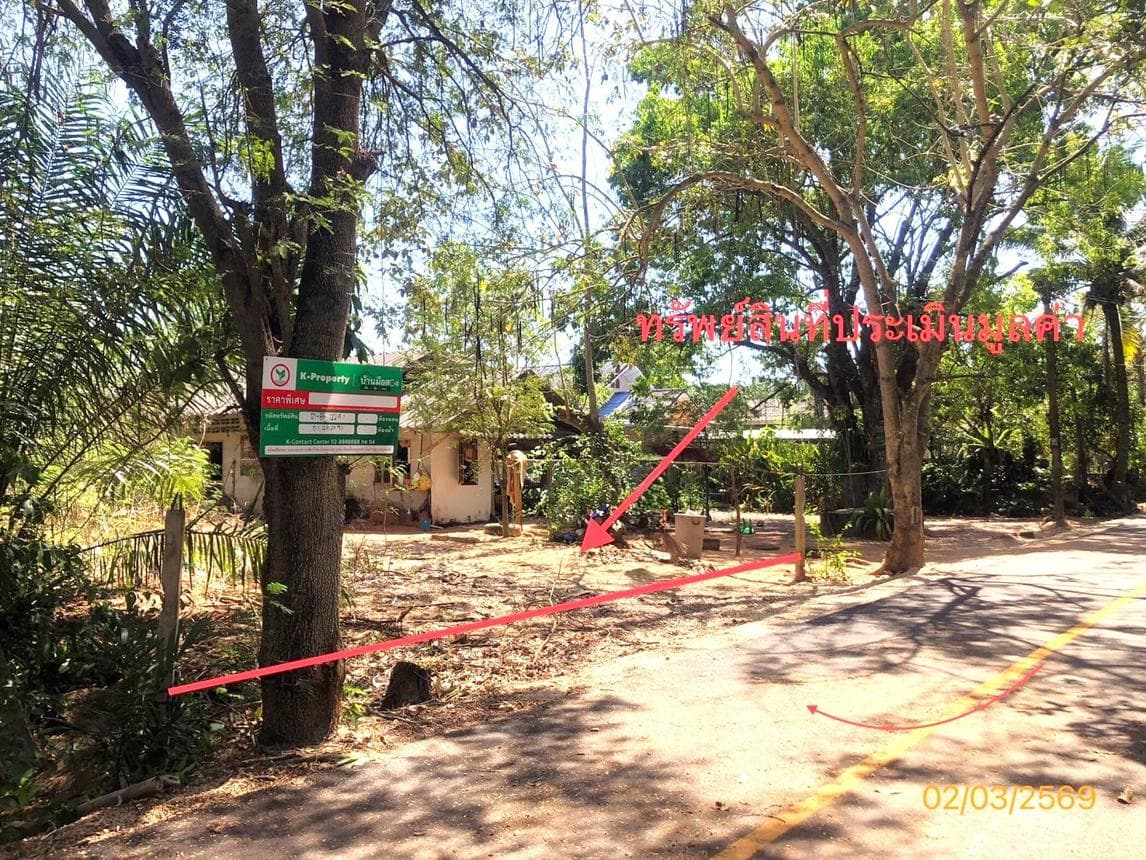ขายที่ดินสวย ขุนทะเล เมืองสุราษฎร์ฯ 49.2 ตร.ว. ทำเลใกล้ มอ. ราคาไม่ถึงล้าน