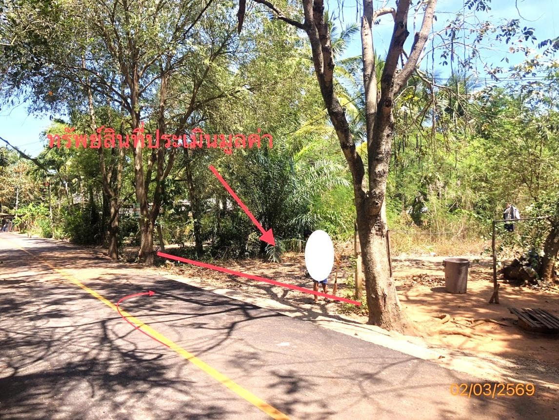 ขายที่ดินสวย ขุนทะเล เมืองสุราษฎร์ฯ 49.2 ตร.ว. ทำเลใกล้ มอ. ราคาไม่ถึงล้าน