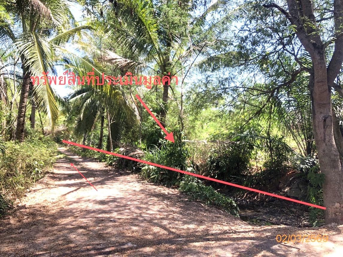 ขายที่ดินสวย ขุนทะเล เมืองสุราษฎร์ฯ 49.2 ตร.ว. ทำเลใกล้ มอ. ราคาไม่ถึงล้าน
