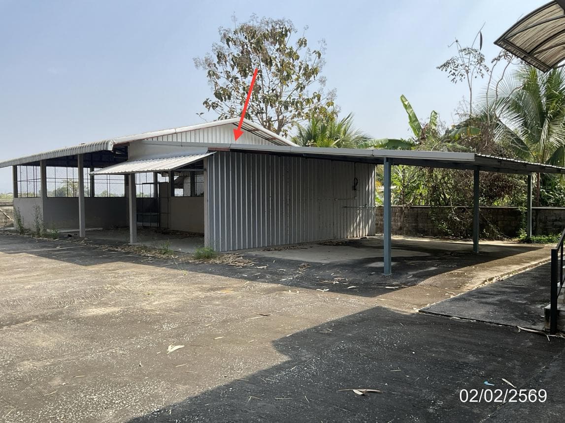 ขายบ้านเดี่ยวหลังใหญ่ ศรีเมืองชุม แม่สาย เชียงราย 4 ห้องนอน พื้นที่กว้าง 200 ตร.ม. ทำเลดี ใกล้แหล่งท่องเที่ยว