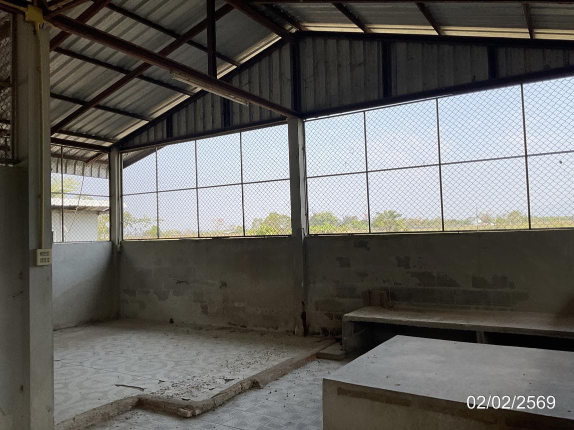 ขายบ้านเดี่ยวหลังใหญ่ ศรีเมืองชุม แม่สาย เชียงราย 4 ห้องนอน พื้นที่กว้าง 200 ตร.ม. ทำเลดี ใกล้แหล่งท่องเที่ยว