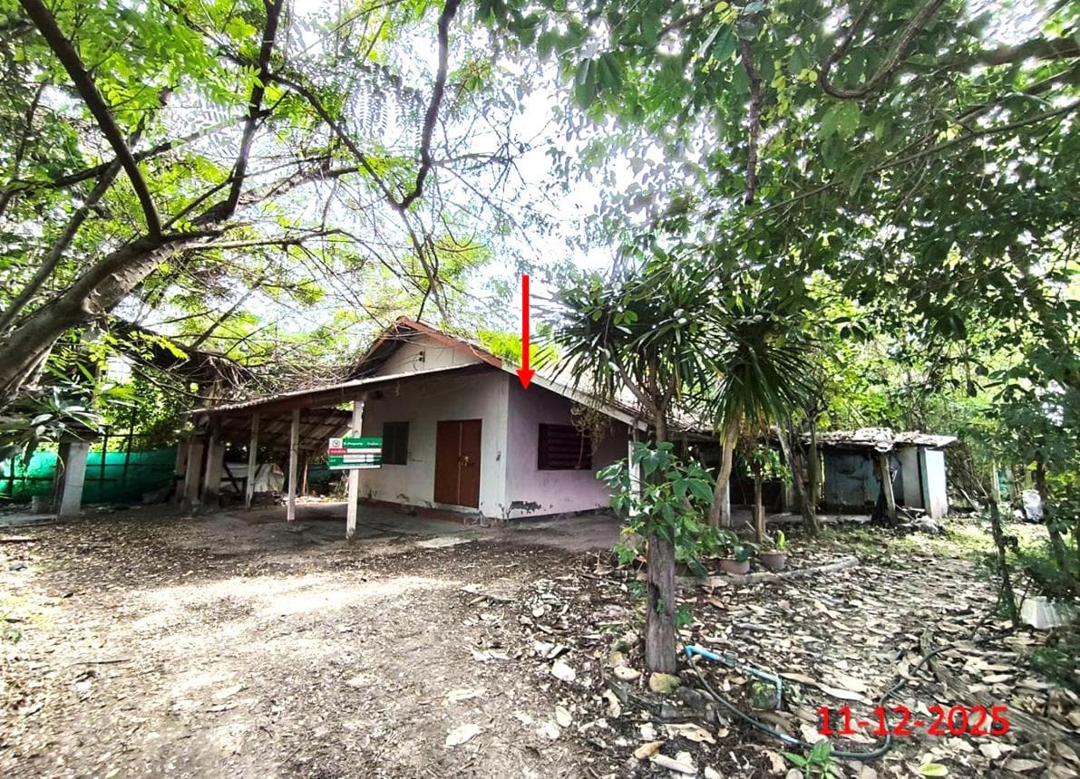 บ้านเดี่ยว 1 ห้องนอน พื้นที่ 97.8 ตร.ม. ทำเลศักยภาพ หนองหล่ม ห้างฉัตร ลำปาง