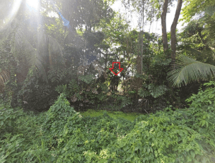 ที่ดินว่างเปล่า สามพราน นครปฐม