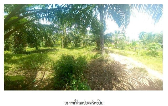 บ้านเดี่ยว เฉลิมพระเกียรติ นครศรีธรรมราช