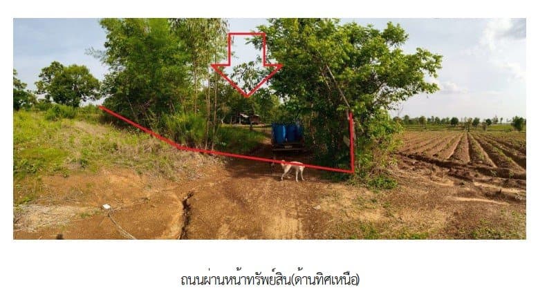 บ้านเดี่ยว เขมราฐ อุบลราชธานี