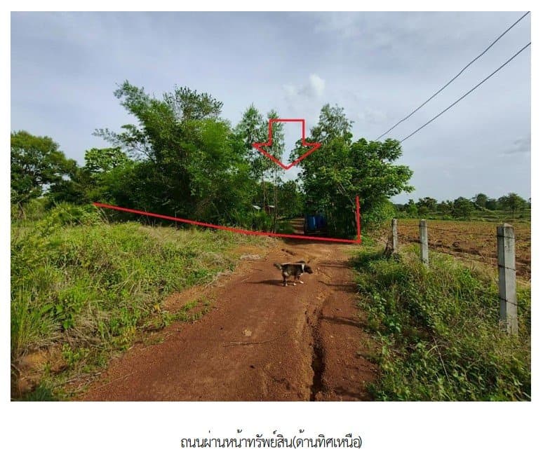 บ้านเดี่ยว เขมราฐ อุบลราชธานี