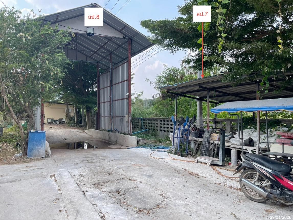 ขายฟาร์ม หนองกระทุ่ม ปากท่อ ราชบุรี สเปซจัดเต็ม 1,134 ตร.ม. ทำเลศักยภาพเพื่อลงทุนธุรกิจเกษตรหรือฟาร์มสเตย์