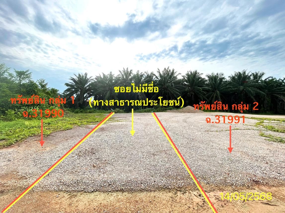 ขายที่ดินว่างเปล่า ทุ่งยาว ปะเหลียน ตรัง พื้นที่ 64.2 ตร.ว. ทำเลสวยเหมาะสร้างบ้านหรือลงทุน
