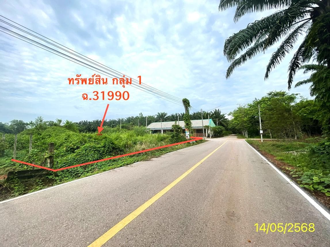 ขายที่ดินว่างเปล่า ทุ่งยาว ปะเหลียน ตรัง พื้นที่ 64.2 ตร.ว. ทำเลสวยเหมาะสร้างบ้านหรือลงทุน