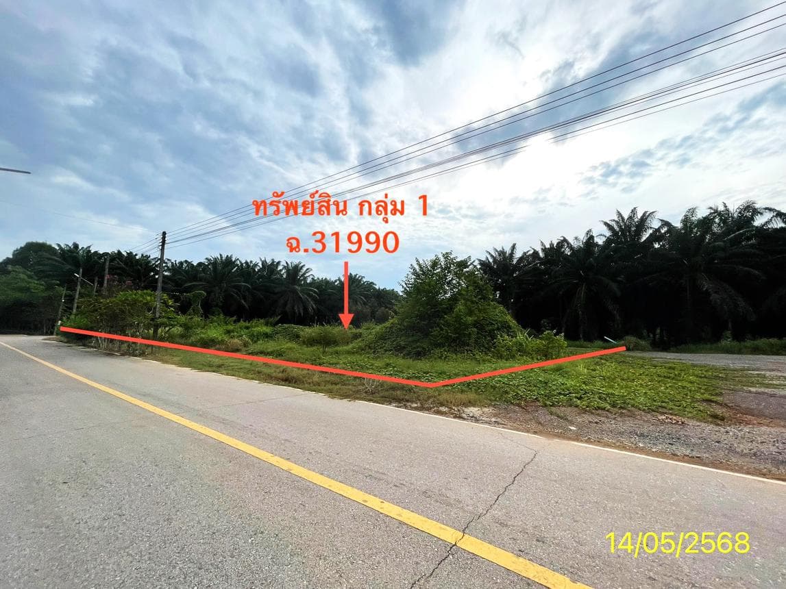 ขายที่ดินว่างเปล่า ทุ่งยาว ปะเหลียน ตรัง พื้นที่ 64.2 ตร.ว. ทำเลสวยเหมาะสร้างบ้านหรือลงทุน