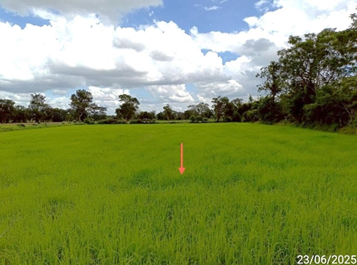 ขายอาคารอเนกประสงค์ เมืองสรวง ร้อยเอ็ด พื้นที่กว้าง 94.5 ตร.ว. ทำเลดี ราคาเพียงหลักแสน เหมาะสำหรับรีโนเวทหรือทำโกดัง