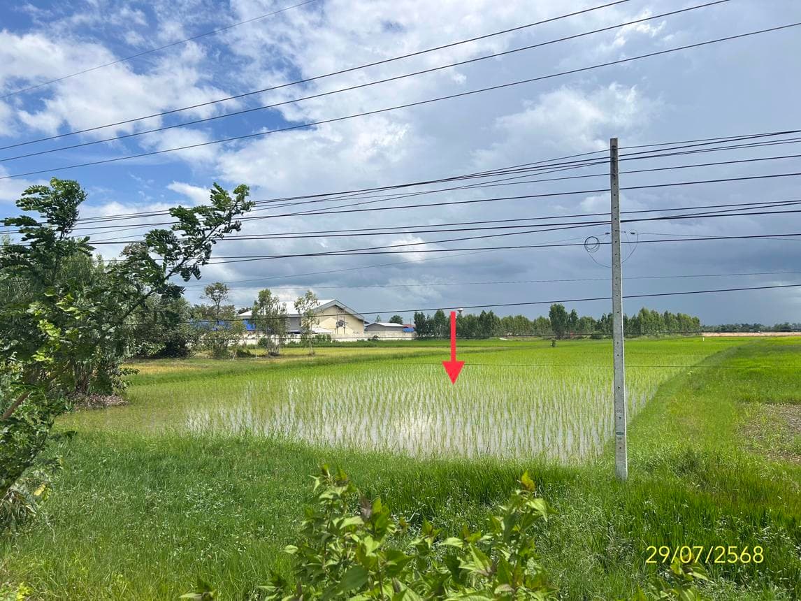 ขายที่ดินเปล่า ขุมเงิน เมืองยโสธร ยโสธร