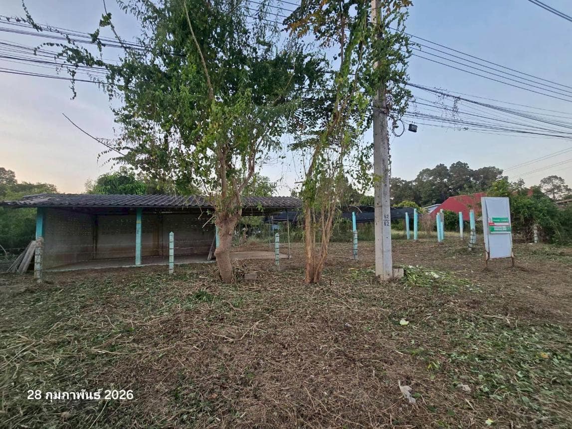 ขายบ้านเดี่ยว ธรรมามูล เมืองชัยนาท พื้นที่กว้าง 76 ตร.ว. ราคาล้านต้นๆ คุ้มค่าสำหรับการเริ่มต้น