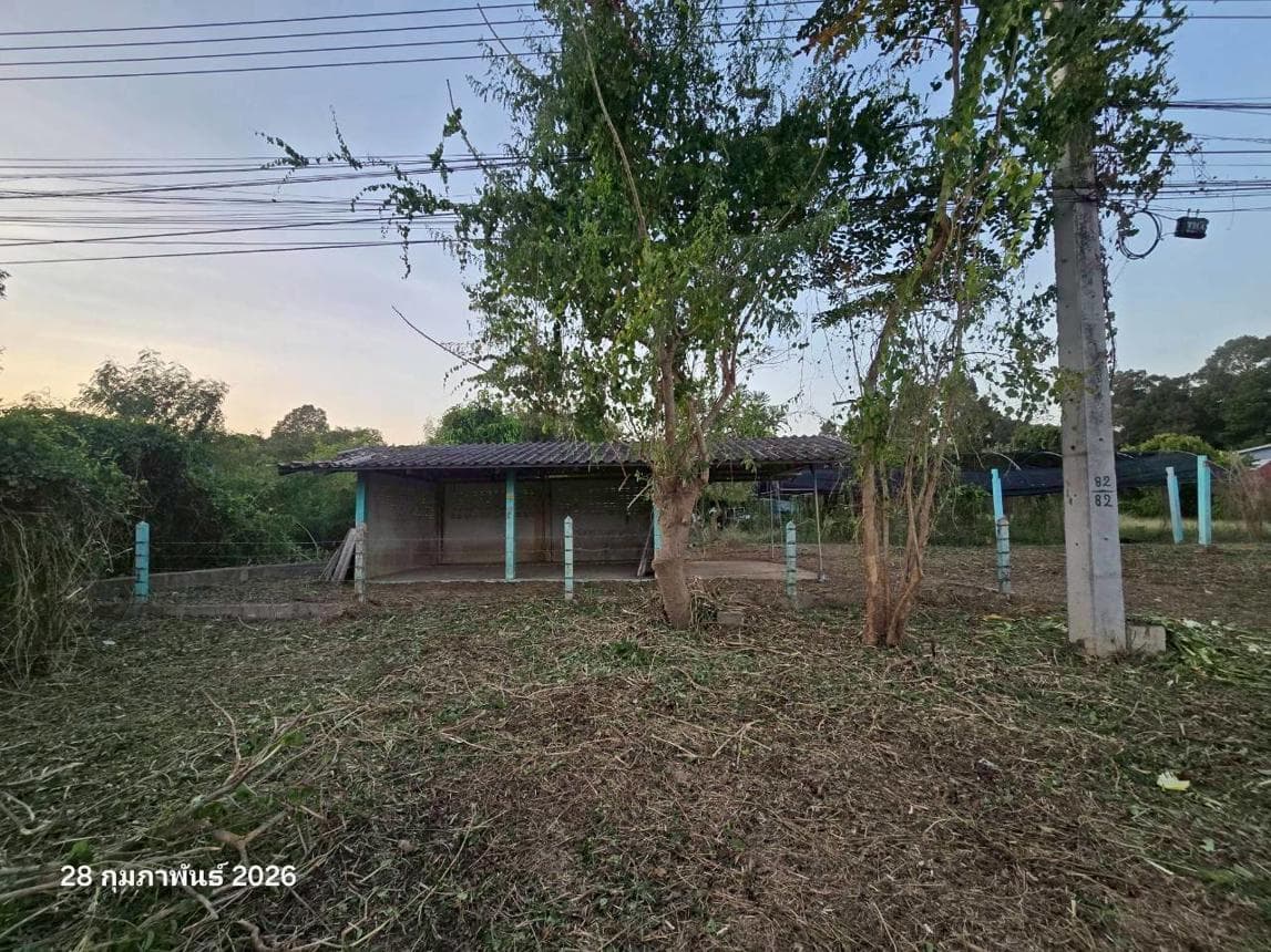 ขายบ้านเดี่ยว ธรรมามูล เมืองชัยนาท พื้นที่กว้าง 76 ตร.ว. ราคาล้านต้นๆ คุ้มค่าสำหรับการเริ่มต้น