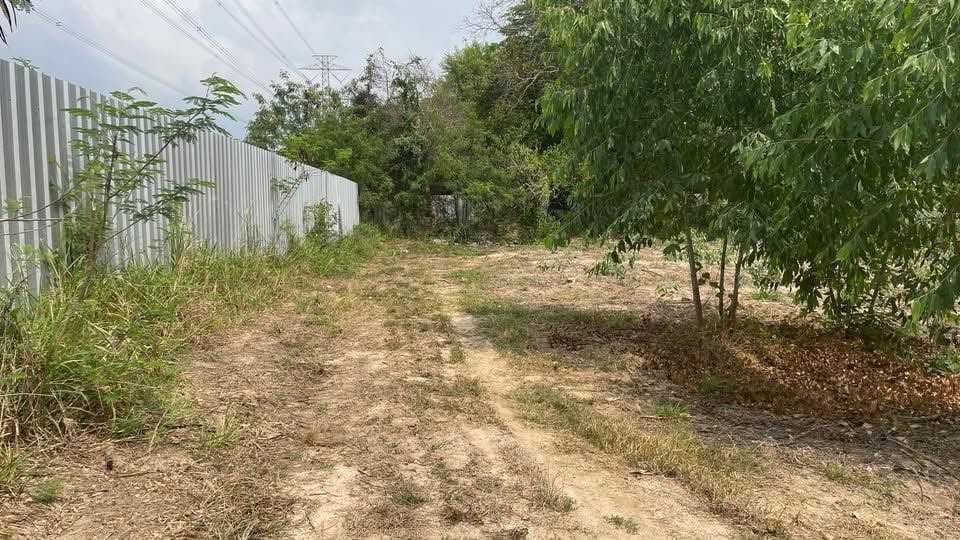 ขาย ที่ดินอุตสาหกรรม 38-3-79.3 ไร่ ทำเลมาบตาพุด จังหวัดระยอง