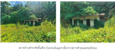 ที่ดินเปล่า พนม สุราษฎร์ธานี