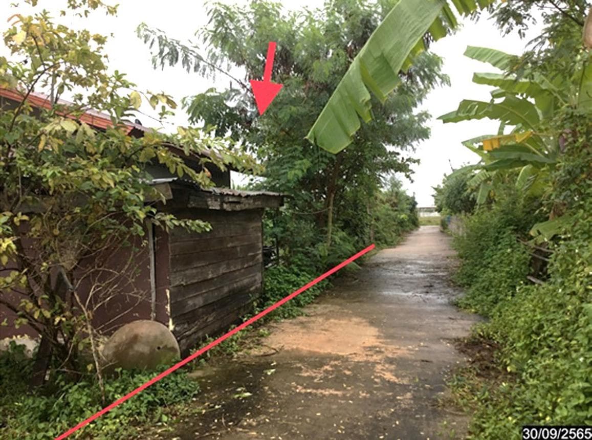 ขายบ้านเดี่ยว เมืองสกลนคร ทำเลตำบลขมิ้น ที่ดินกว้าง 90 ตร.ว. บรรยากาศสงบและเป็นส่วนตัว