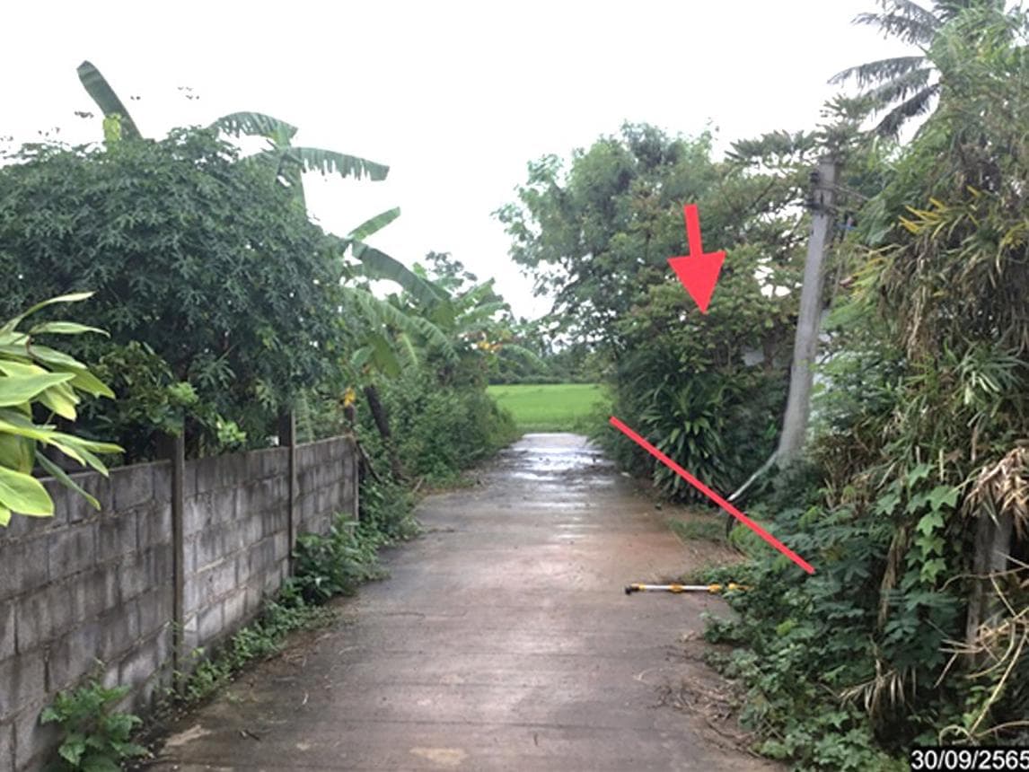 ขายบ้านเดี่ยว เมืองสกลนคร ทำเลตำบลขมิ้น ที่ดินกว้าง 90 ตร.ว. บรรยากาศสงบและเป็นส่วนตัว