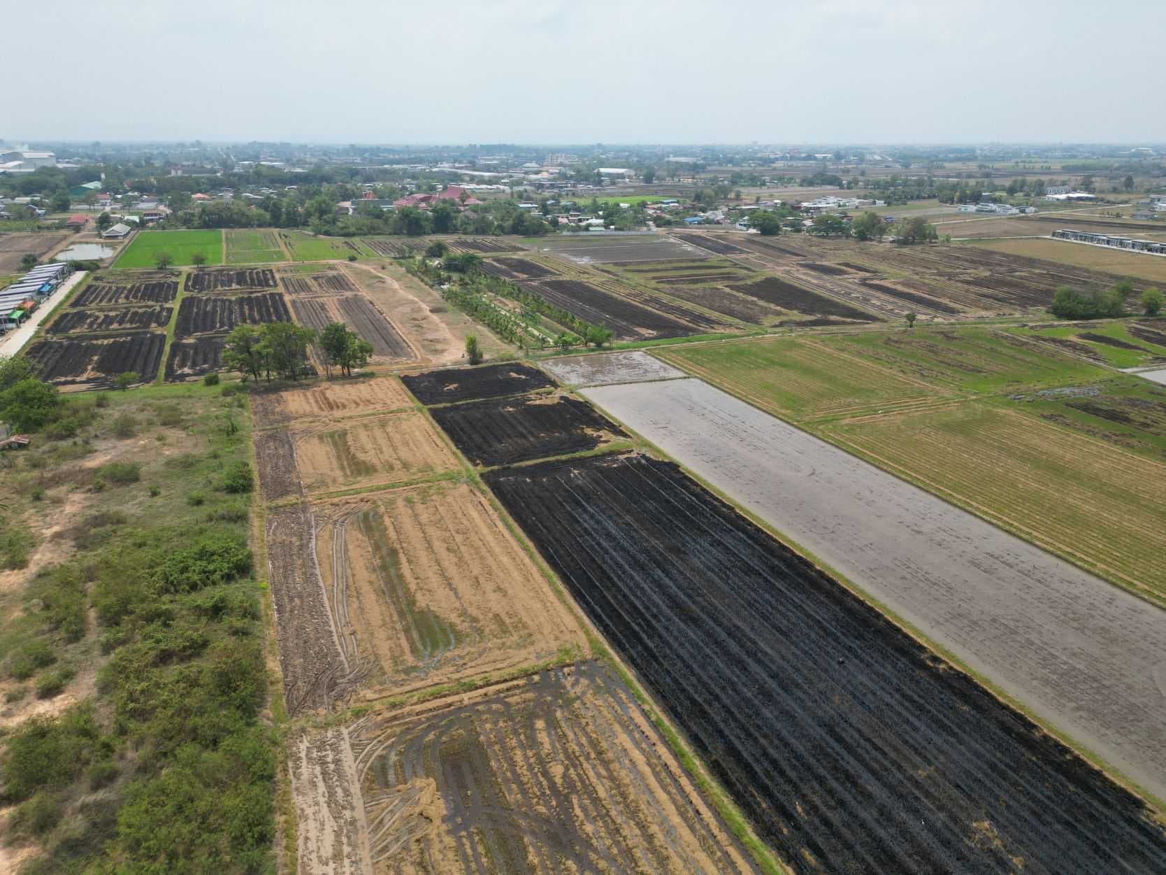 ที่ดินเปล่า5ไร่ ใกล้ถนนใหญ่ โซนบ้านกร่าง อ.เมืองพิษณุโลก