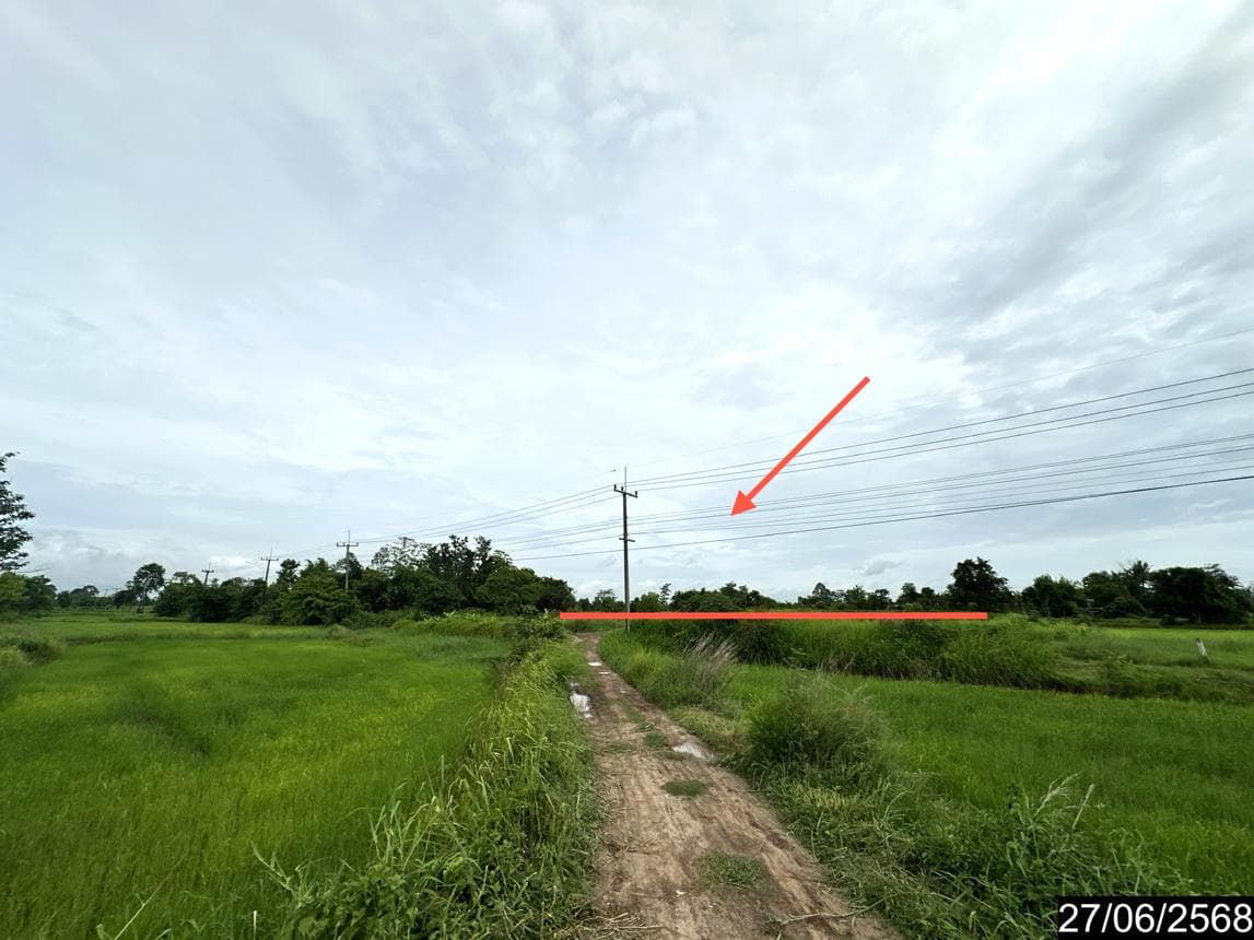 ขายที่ดิน ทุ่งเทิง เดชอุดม อุบลราชธานี