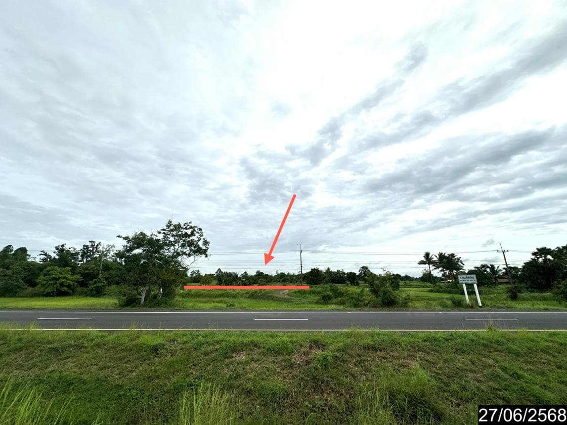 ขายที่ดิน ทุ่งเทิง เดชอุดม อุบลราชธานี