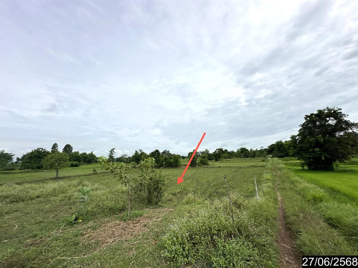 ขายที่ดิน ทุ่งเทิง เดชอุดม อุบลราชธานี