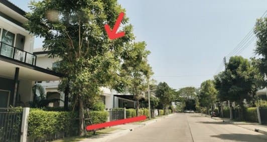 บ้านเดี่ยว เมืองขอนแก่น
