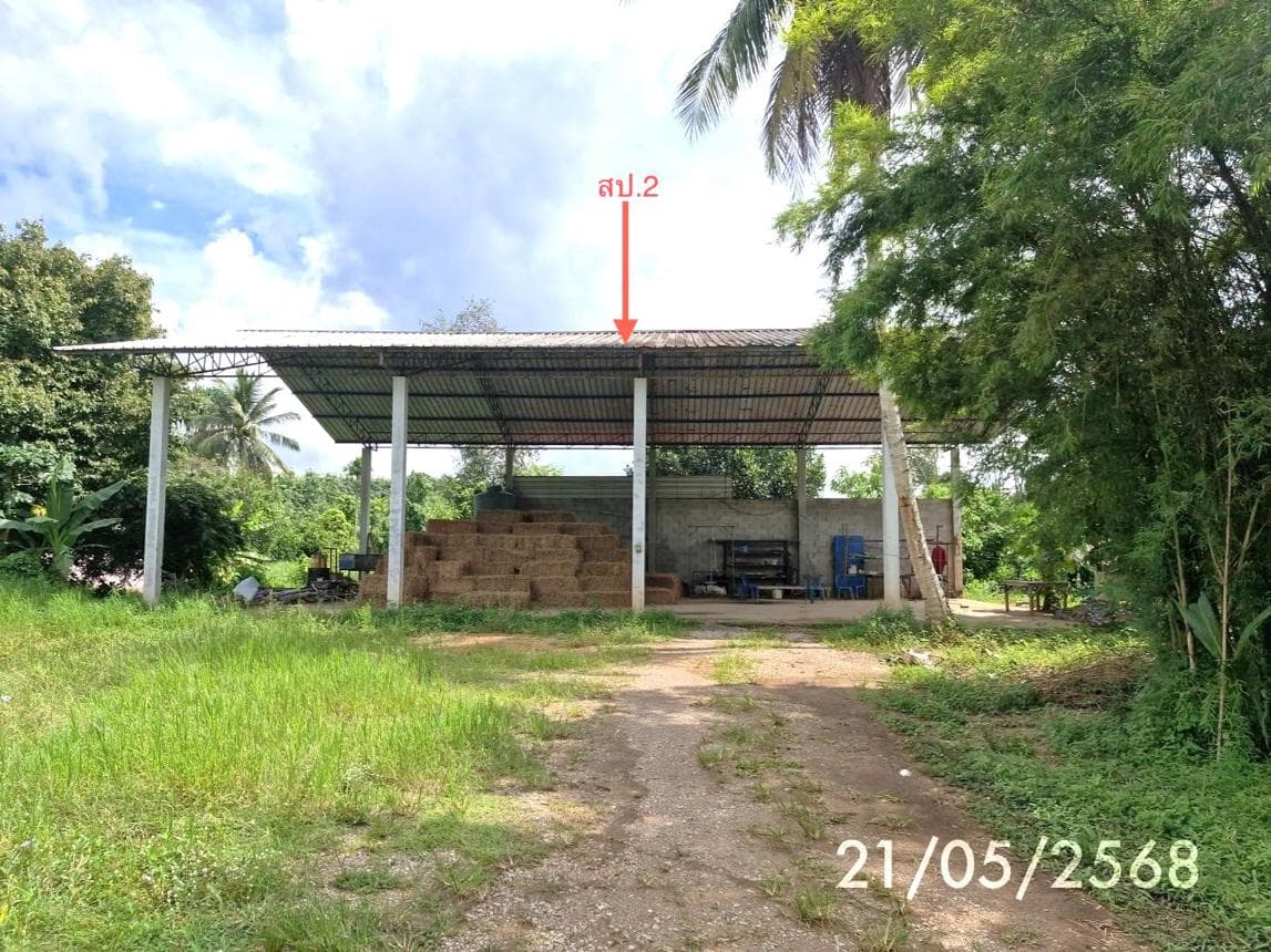 ขายบ้านเดี่ยว เขาวิเศษ วังวิเศษ ตรัง พื้นที่กว้าง 184 ตร.ม. บนเนื้อที่เกือบ 100 ตร.ว. ทำเลสงบส่วนตัว ราคาไม่ถึง 3 ล้าน