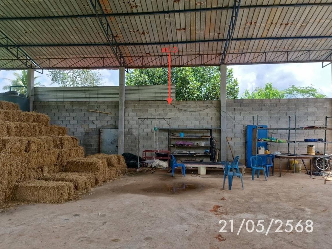 ขายบ้านเดี่ยว เขาวิเศษ วังวิเศษ ตรัง พื้นที่กว้าง 184 ตร.ม. บนเนื้อที่เกือบ 100 ตร.ว. ทำเลสงบส่วนตัว ราคาไม่ถึง 3 ล้าน