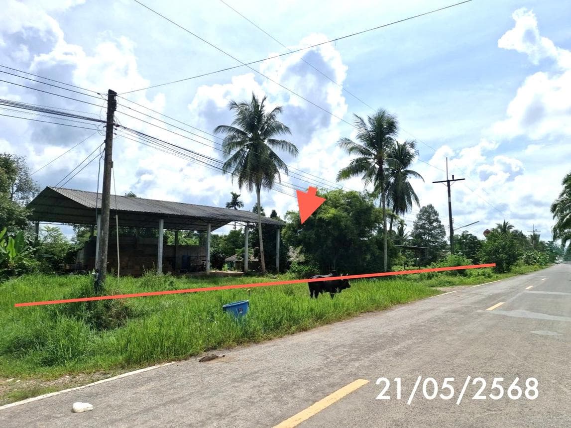 ขายบ้านเดี่ยว เขาวิเศษ วังวิเศษ ตรัง พื้นที่กว้าง 184 ตร.ม. บนเนื้อที่เกือบ 100 ตร.ว. ทำเลสงบส่วนตัว ราคาไม่ถึง 3 ล้าน