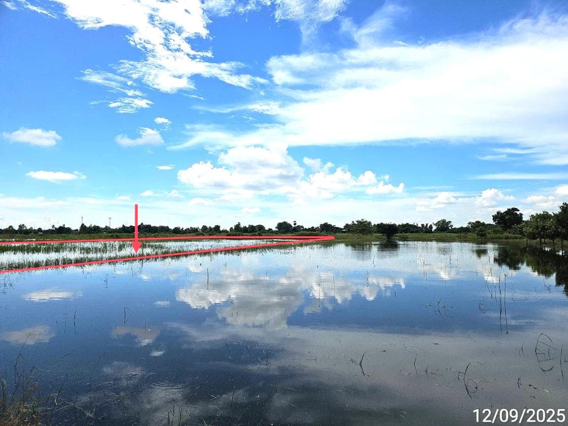 ที่ดินว่างเปล่า ทำเลศักยภาพ วังพิกุล วังทอง พิษณุโลก