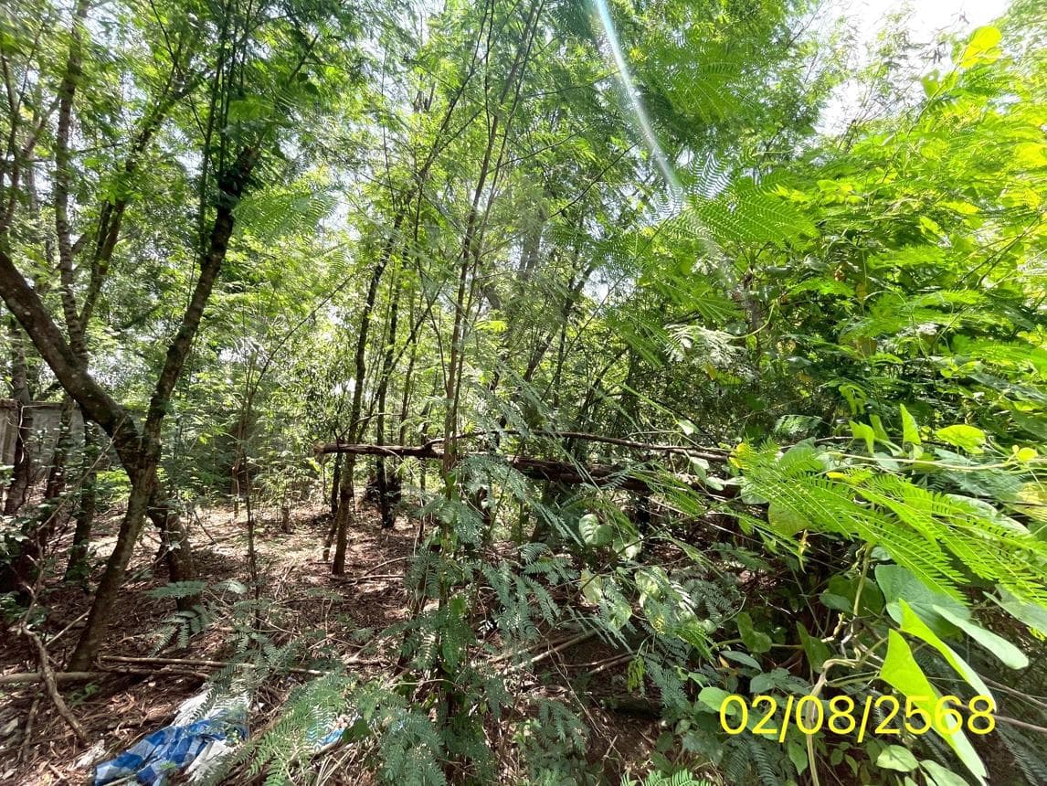 ที่ดินเปล่า 60 ตร.ว. ทำเลศักยภาพ รังสิต ธัญบุรี ปทุมธานี เหมาะสำหรับปลูกสร้างบ้านพักอาศัย