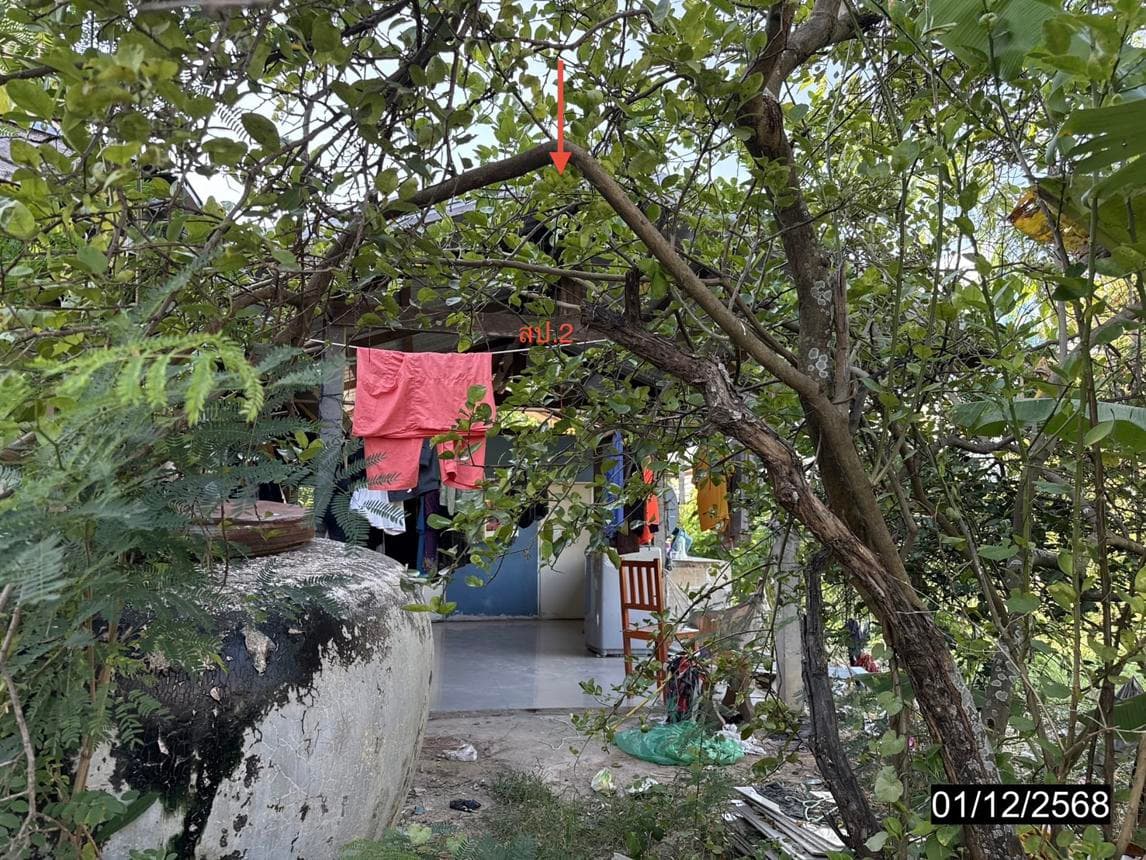 บ้านเดี่ยว เจ้าท่า กมลาไสย กาฬสินธุ์ 2 ห้องนอน พื้นที่ใช้สอย 190.5 ตร.ม. บนที่ดินกว้างขวาง 98 ตร.ว. บรรยากาศสงบ เป็นส่วนตัว ราคาพิเศษเพียง 8.96 แสน