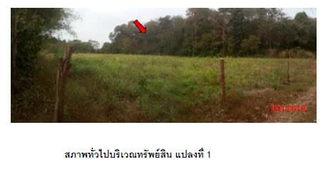 ที่ดินเปล่า กบินทร์บุรี ปราจีนบุรี