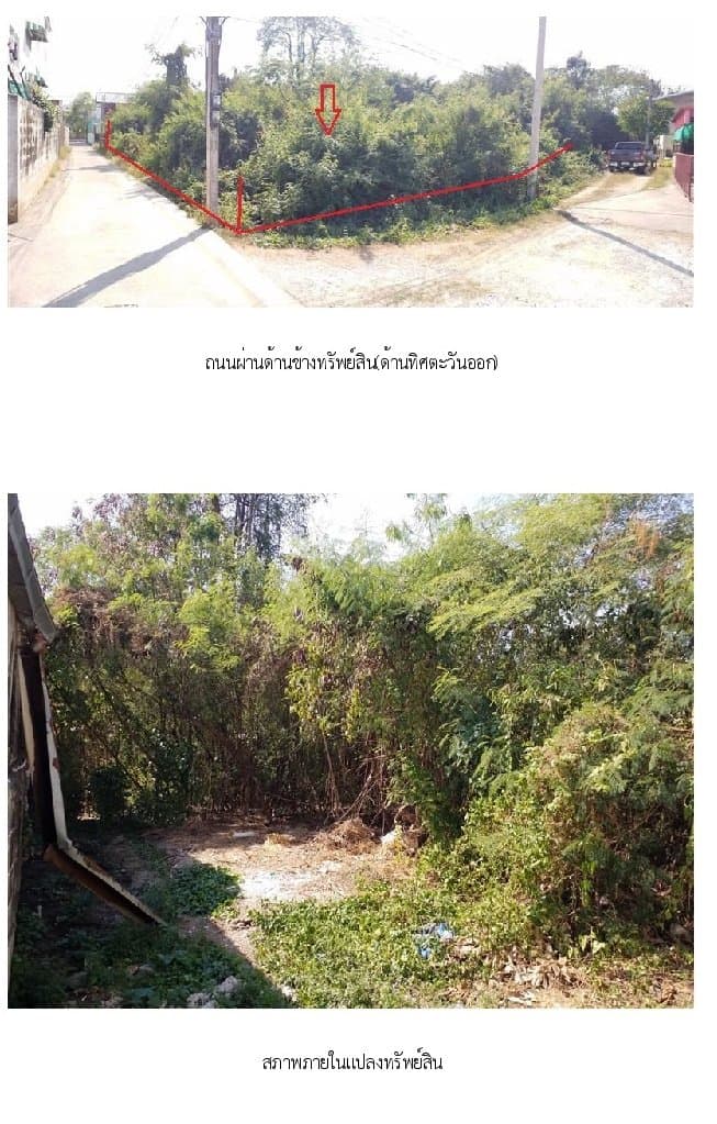 ที่ดินว่างเปล่า เมืองพิษณุโลก