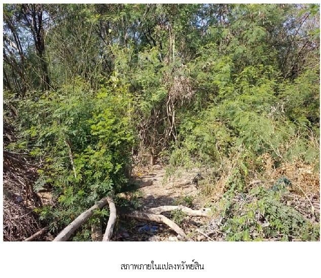 ที่ดินว่างเปล่า เมืองพิษณุโลก