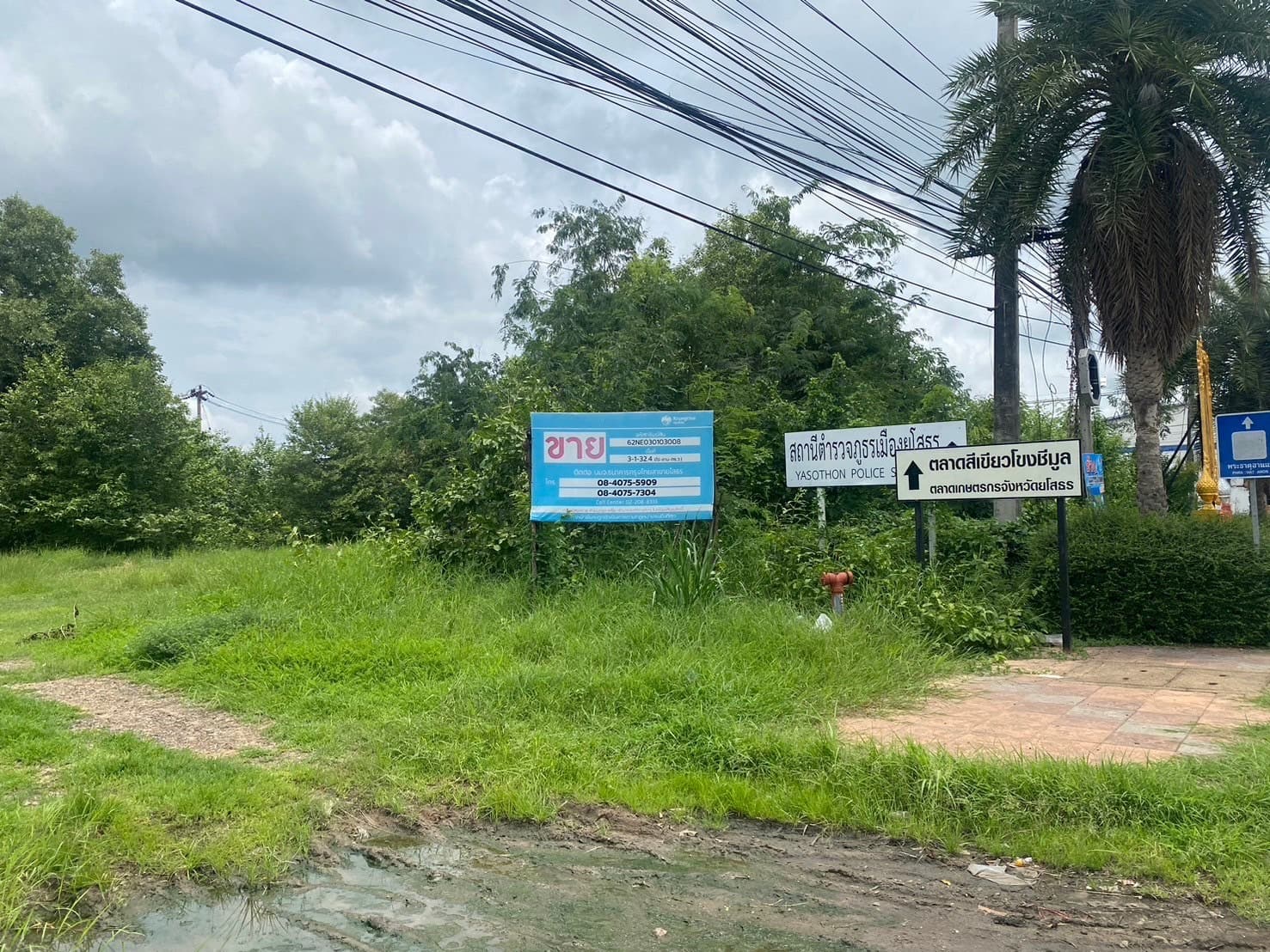 ที่ดินเปล่า เมืองยโสธร ยโสธร
