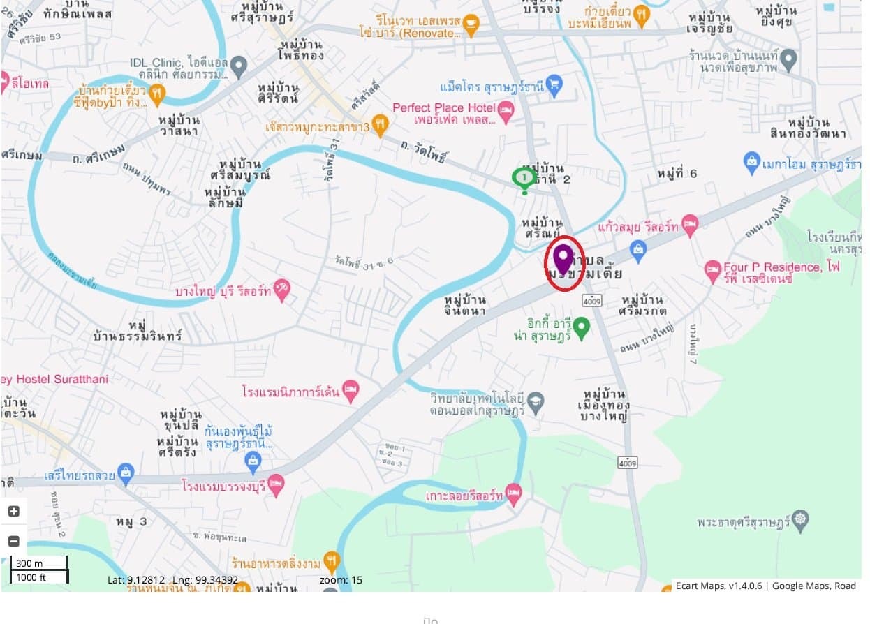 อาคารพาณิชย์ เมืองสุราษฎร์ธานี