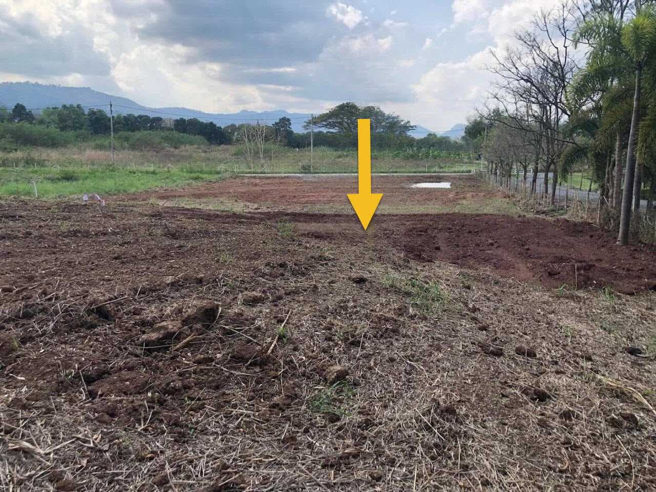 ขายด่วน! ที่ดินทำเลทอง 2 ไร่ ต.หมูสี ปากช่อง ใกล้ถนนธนะรัชต์ ราคา 16,000,000 บาท