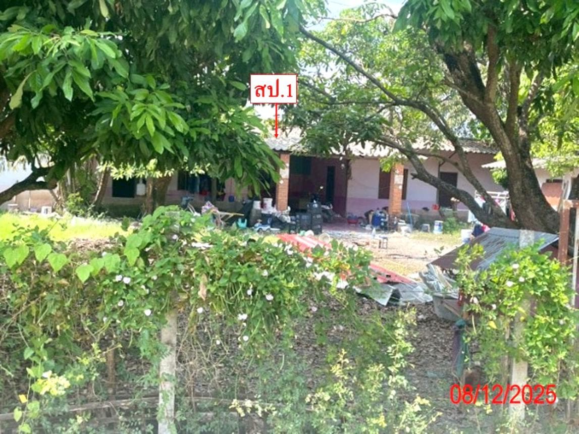บ้านเดี่ยว เมืองลำพูน ทำเลอุโมงค์ 4 ห้องนอน พื้นที่กว้าง 84 ตร.ว. บรรยากาศสงบ เดินทางสะดวก