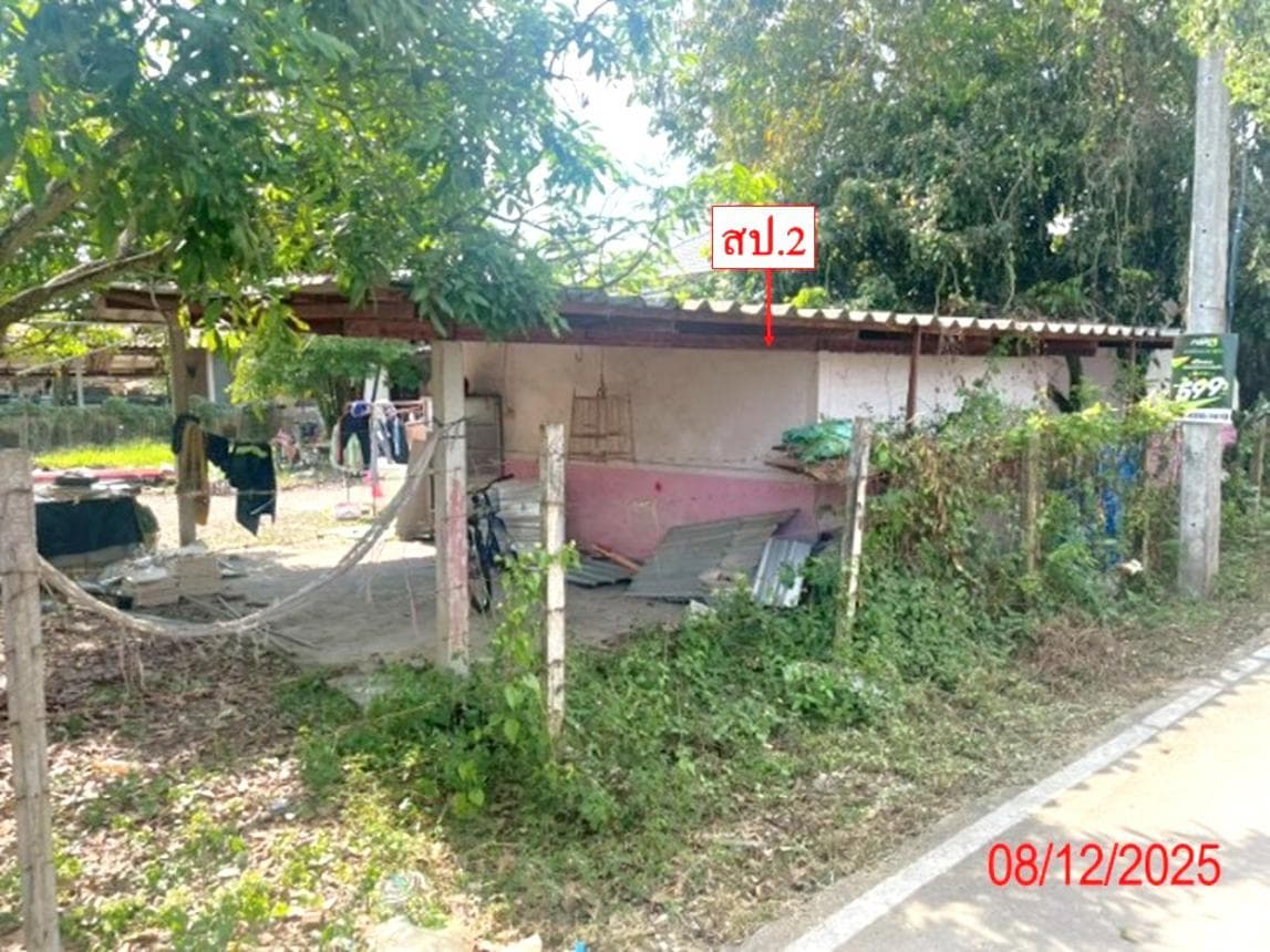 บ้านเดี่ยว เมืองลำพูน ทำเลอุโมงค์ 4 ห้องนอน พื้นที่กว้าง 84 ตร.ว. บรรยากาศสงบ เดินทางสะดวก