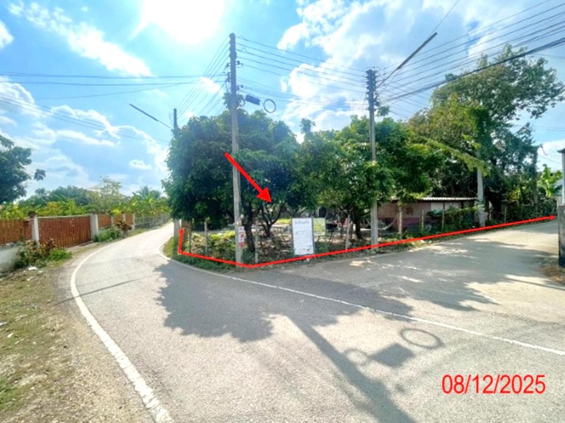 บ้านเดี่ยว เมืองลำพูน ทำเลอุโมงค์ 4 ห้องนอน พื้นที่กว้าง 84 ตร.ว. บรรยากาศสงบ เดินทางสะดวก