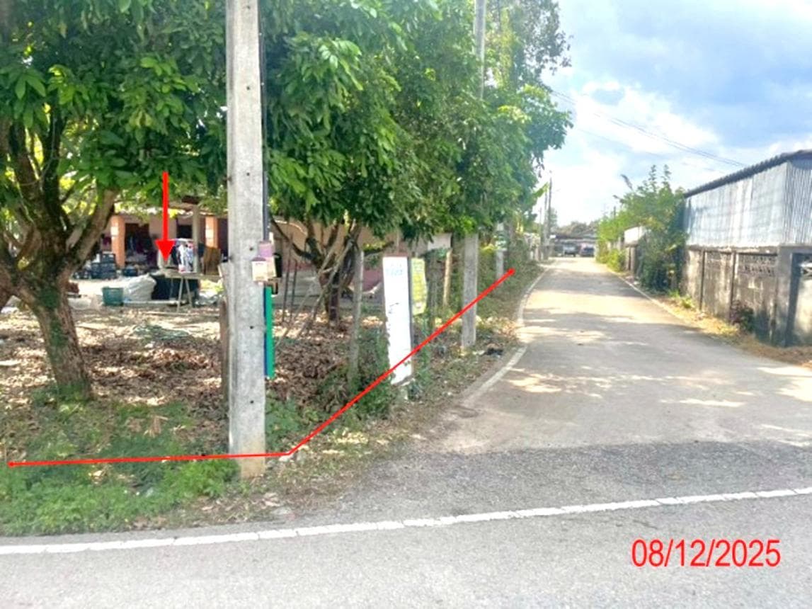 บ้านเดี่ยว เมืองลำพูน ทำเลอุโมงค์ 4 ห้องนอน พื้นที่กว้าง 84 ตร.ว. บรรยากาศสงบ เดินทางสะดวก