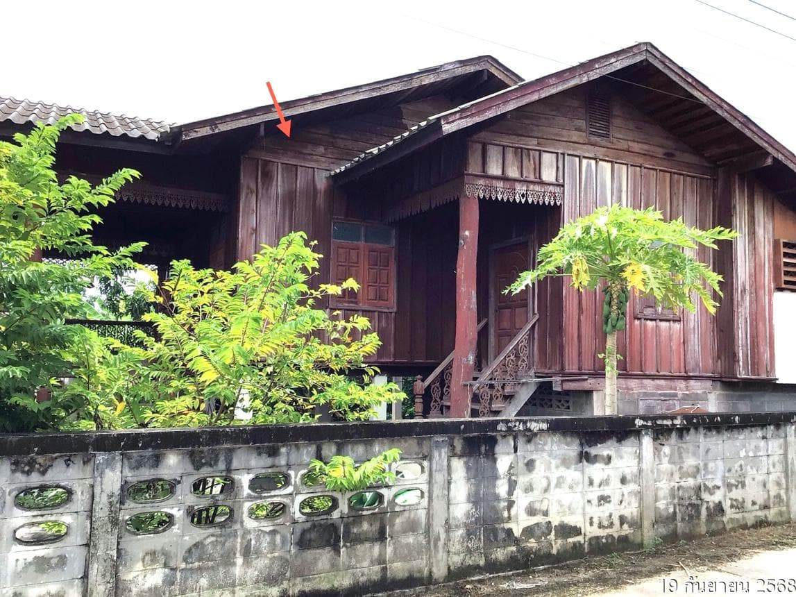 บ้านเดี่ยว ป่าแดด แม่สรวย เชียงราย 1 ห้องนอน 1 ห้องน้ำ พื้นที่กว้างขวาง 158 ตร.ม. ทำเลสงบเป็นส่วนตัว บรรยากาศธรรมชาติ ราคาพิเศษ 1.08 ล้าน