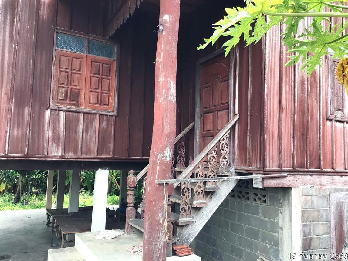 บ้านเดี่ยว ป่าแดด แม่สรวย เชียงราย 1 ห้องนอน 1 ห้องน้ำ พื้นที่กว้างขวาง 158 ตร.ม. ทำเลสงบเป็นส่วนตัว บรรยากาศธรรมชาติ ราคาพิเศษ 1.08 ล้าน