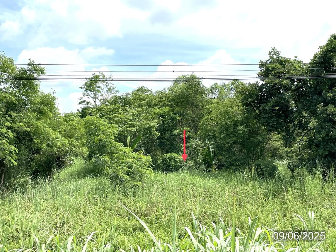 ที่ดินเปล่าผืนใหญ่ ทำเลศักยภาพตำบลท่าโพธิ์ ใกล้มหาวิทยาลัยนเรศวร เมืองพิษณุโลก