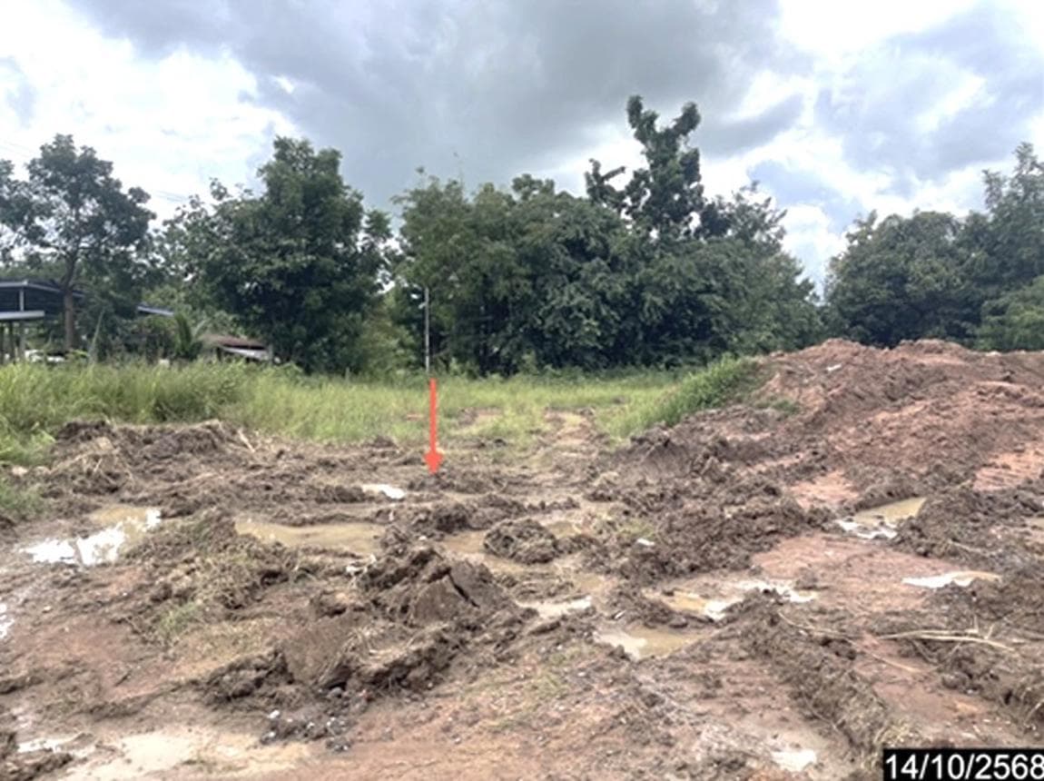 ขายที่ดิน ภูเขียว ชัยภูมิ ทำเลโอโล ขนาด 17 ตร.ว. ราคาไม่ถึงล้าน